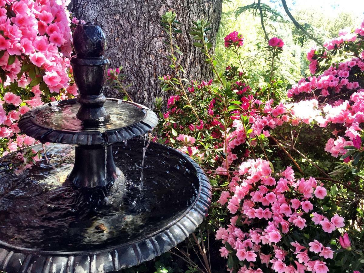 The Inn On Knowles Hill Bed & Breakfast Hotel Sonora Extérieur photo